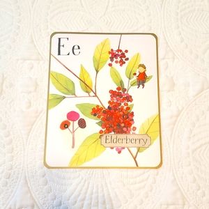 4 for $25! Letter E Elderberry Card with Fairy